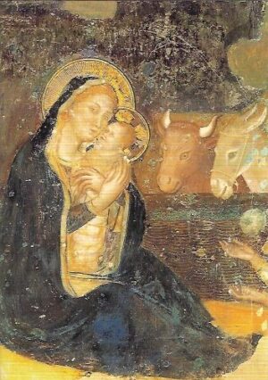 fe021490dfc79ab9fc890af48f6ee7c5a8028e57