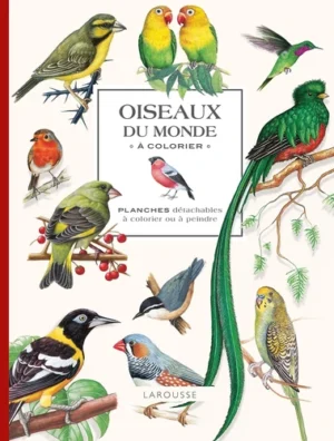 Oiseaux du monde à colorier