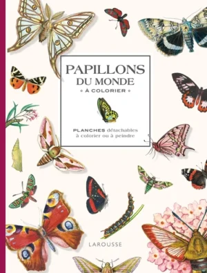 Papillons du monde à colorier